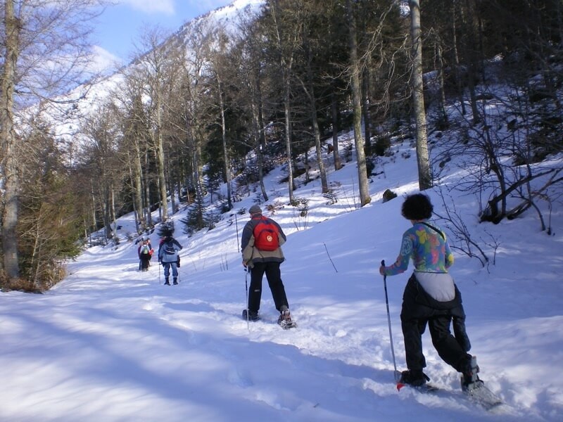 Raquettes BAREGES Forêt de L'AYRE  