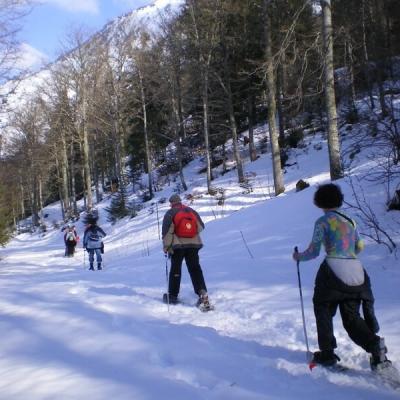 Raquettes BAREGES Forêt de L'AYRE  